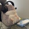 hamstercloset